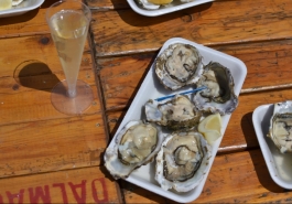 Delta Oyster Day