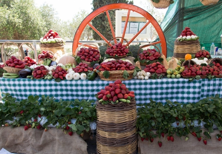 Strawberry Festival