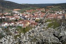 (c) The Arlanza Wine Route