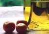 Ullastrell Olive Oil Festival